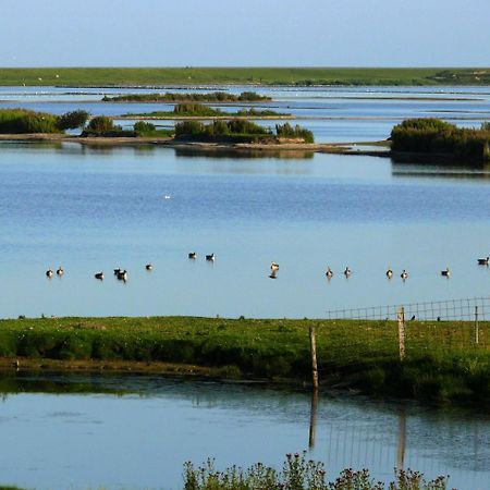 Haus-Halligblick-Ferienwohnung-Hamburger-Hallig Dagebüll Buitenkant foto