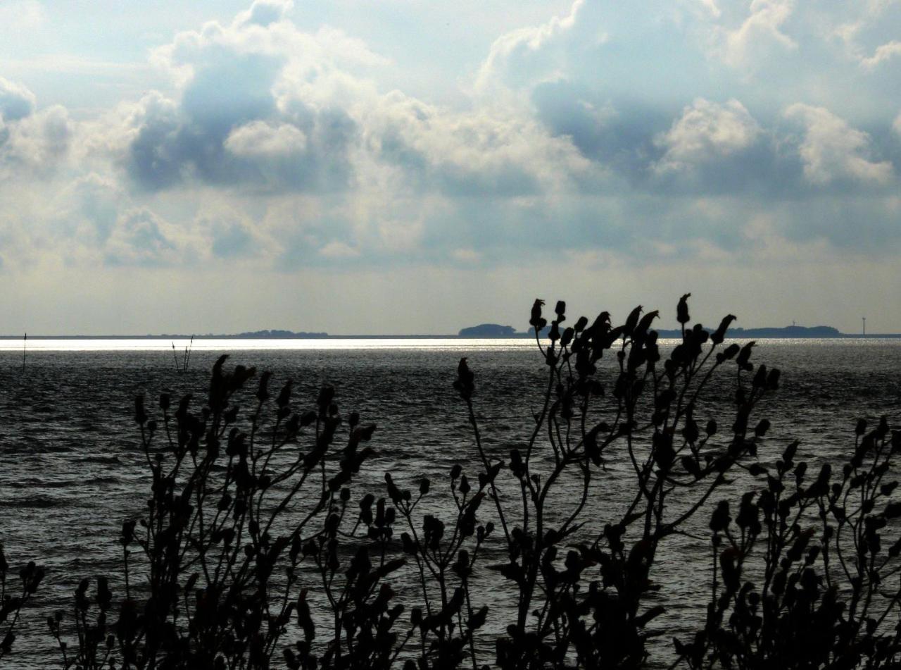 Haus-Halligblick-Ferienwohnung-Hamburger-Hallig Dagebüll Buitenkant foto