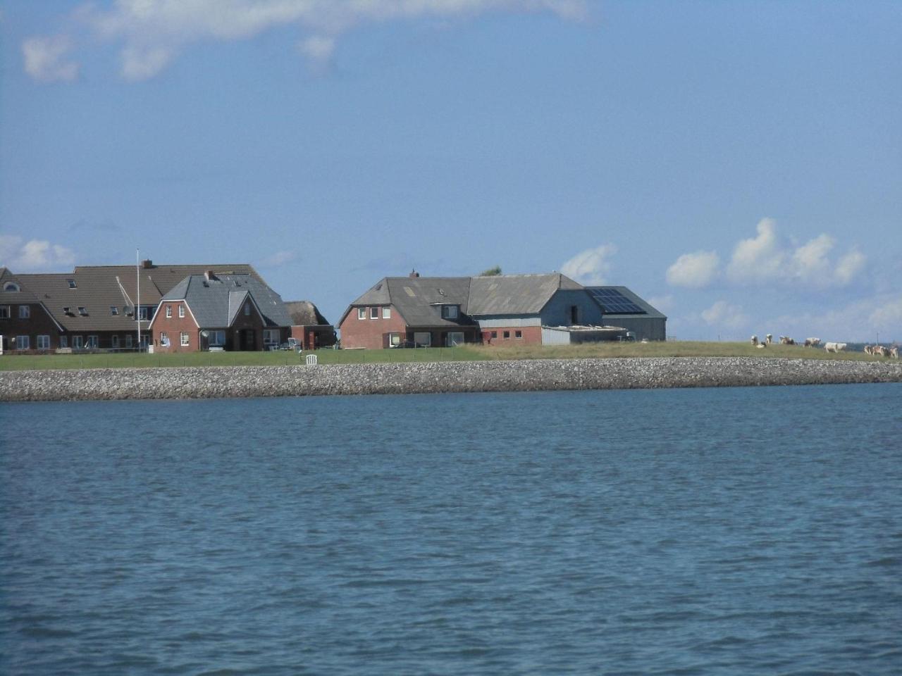Haus-Halligblick-Ferienwohnung-Hamburger-Hallig Dagebüll Buitenkant foto